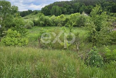 Teren în Podiș - 1