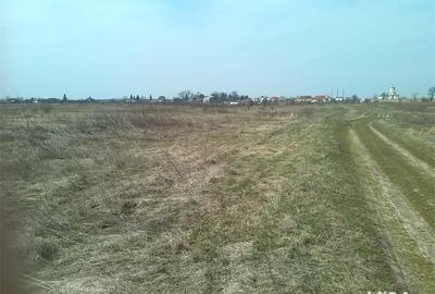 Teren de 600 mp, în Balotești - 3