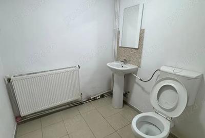 Inchiriem Casa primitoare pe Decebal. 5 camere + curte. Ideala pentru Educatie Creativitate Birouri - 9
