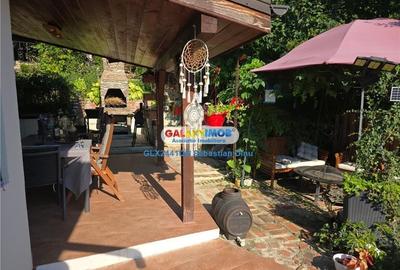 Vanzare casa Razvad - 3