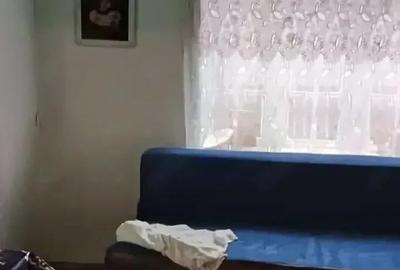 Casă cu 4 camere cu Teren 3500 Mp în Podgoria - 7