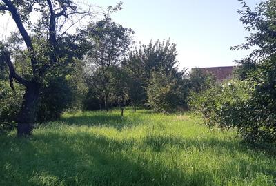 Grădină fără casă 988mp de vânzare, Târlungeni între case, intravilan - 3