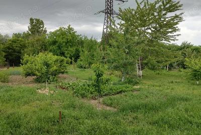 Casa de vanzare in Broscauti Casa de vanzare in Broscauti - 8