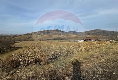 Teren de 500 mp, în Gușterița