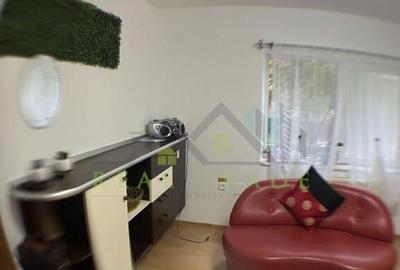 Apartament 2 camere zona Scriitorilor - 2