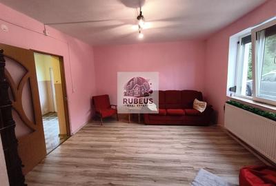 Refugiul la marginea pădurii in Orșova, pe malul Dunării - 19