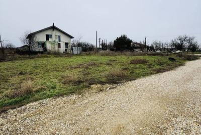 Teren de 507 mp, în Copăceni - 5