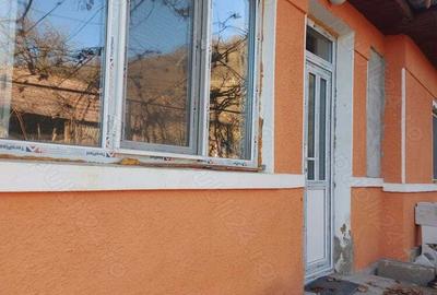 Vand casa la tara - 5