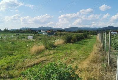 Teren de 2600 mp, în Săsar - 3