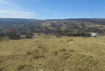 Spațiu comercial, în Dobrovăț