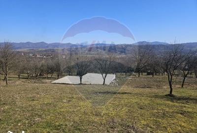 Teren de 4627 mp, în Bârsana - 8