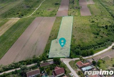 Teren extravilan 5000 mp Urseni, Timi? - 1