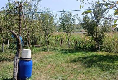 Casă cu 4 camere în Soporu de Câmpie - 16