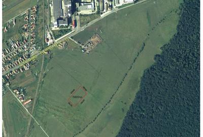 Teren intravilan de vanzare 5800 mp - zona Iernuțeni - 3