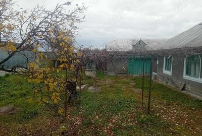 Casă cu 2 camere în Central - 6