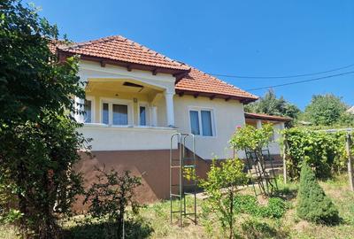 Casa in mediu rural cu teren - 2
