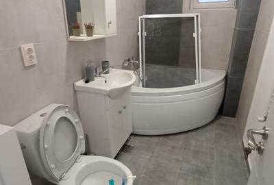 Inchiriere garsoniera noua 31 mp et 3 Bradadiru Jud Ilfov zuna Leroy Merlin - 4