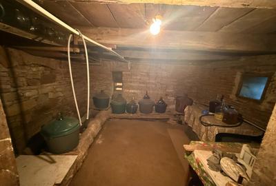 Casa 3 camere + teren 912mp zona Caraiman - 26