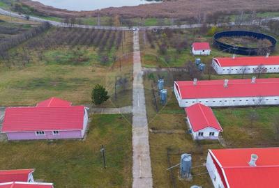 Teren Construcții intravilan de 43708 mp, în Scobâlțeni - 9