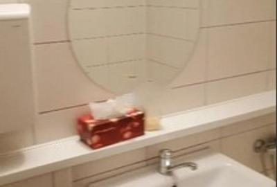 Pantelimon,Magazinele Marius,bl.1981,reabilitat,Amenajata,mobilata,Libera - 9