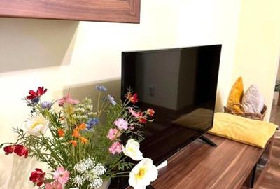 Apartament cu 2 camere semidecomandat, mobilat în P-ța Muncii - 2