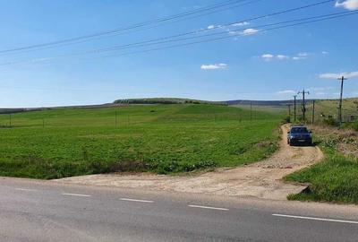 Teren de 10000 mp, în Iclod - 6