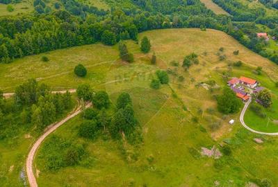 Teren Parcul National Bucegi/Str Glajarie Rau Mare/Panicel/Sohodol - 7