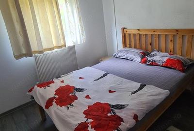 Inchiriez cabana cu piscina incalzita ?i jacuzzi fierbinte Inchiriez cabana cu piscina incalzita ?i jacuzzi fierbinte - 10