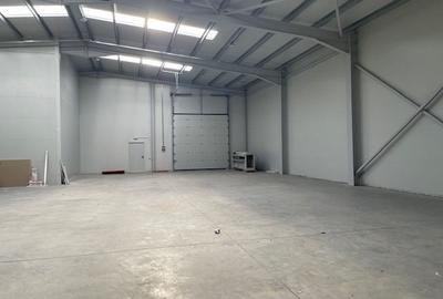 Spatiu depozitare si productie Soseaua de centrua Chitila - 4