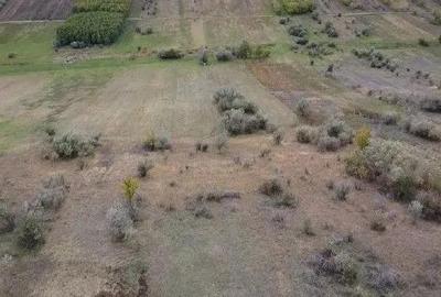 Teren extravilan Perieni, cota parte 6/16 , ID: R2822105 - 6