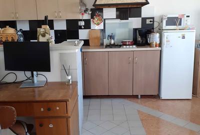 Casă cu 2 camere în Sintea Mare - 7