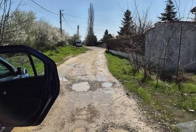 Teren de 250 mp, în Mogoșoaia - 8