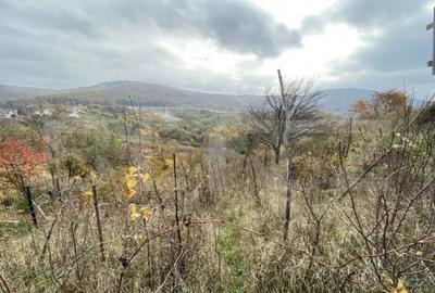 Teren de 787 mp, în Central - 3