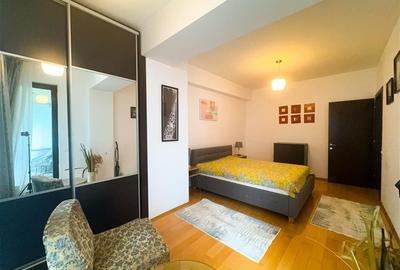 Apartament 2 camere de inchiriat North Area Lake View - 12