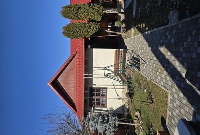 Casa caramida, in centru, D+P+E+M 356m , bucatarie de vara 58m , teren 385 m - 5