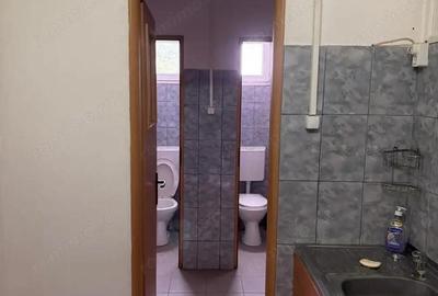 Spațiu comercial, de 500 mp, în Theodor Pallady - 4