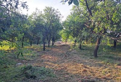 Casă cu 3 camere în Aghireș - 2