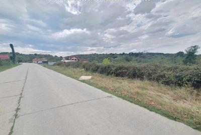 Teren Intravilan (1000 mp),situat in Danesti -Vacarea - 5