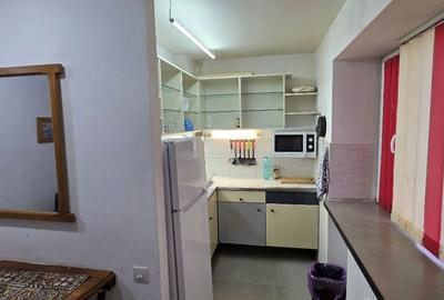 Gara de Nord apartament 2 camere de inchiriat - 7