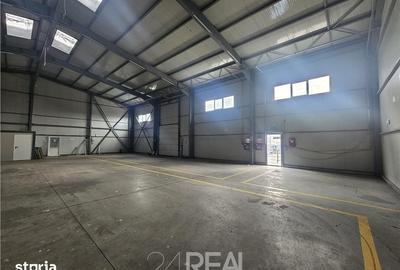 Spațiu comercial, de 1,000 mp, în Cernica - 6