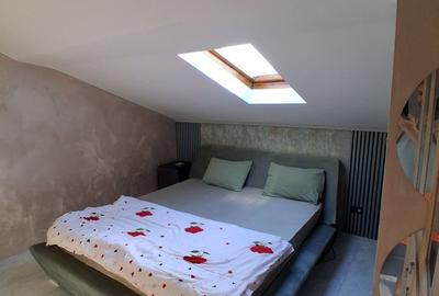 Casă cu 2 camere cu Teren 100 Mp în Coșbuc - 8