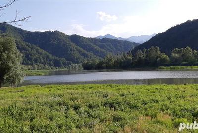 Teren de 4150 mp, în Drăgănești (Brezoi) - 8