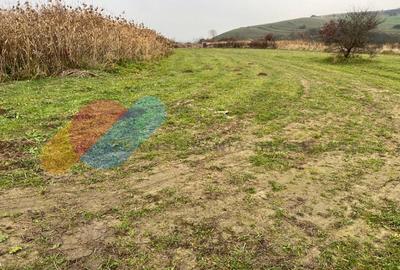 Teren Construcții intravilan de 2402 mp, în Borhanci - 3