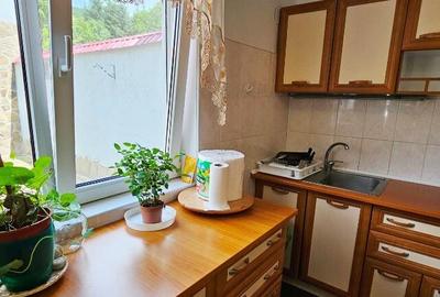 Casa cu o priveliste de vis, in inima naturii, com.Tarcau Casa cu o priveliste de vis, in inima naturii, com.Tarcau - 7