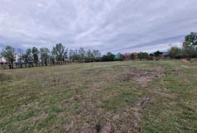 Sosdea 2 Case cu Teren 4657 Mp. - 15