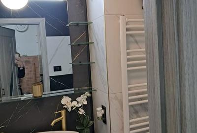 Apartament cu 2 camere în Șega - 12