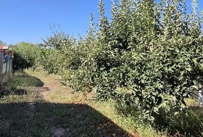 Casa modulara plus teren - 1