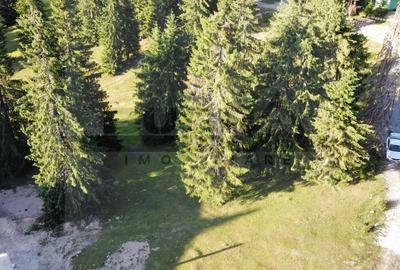 Teren intravilan 250 mp, Arieseni - Partie Ski - 3