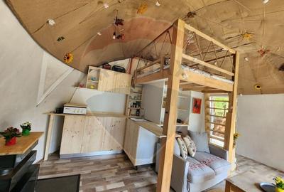 Teren extravilan de 1046 mp, în Valea Borcutului - 8