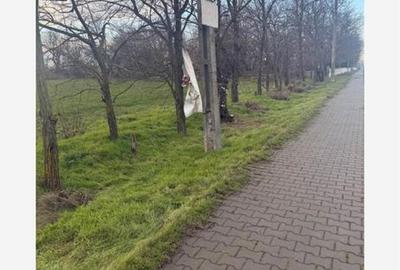 Teren de 6800 mp, în Ciorani - 8